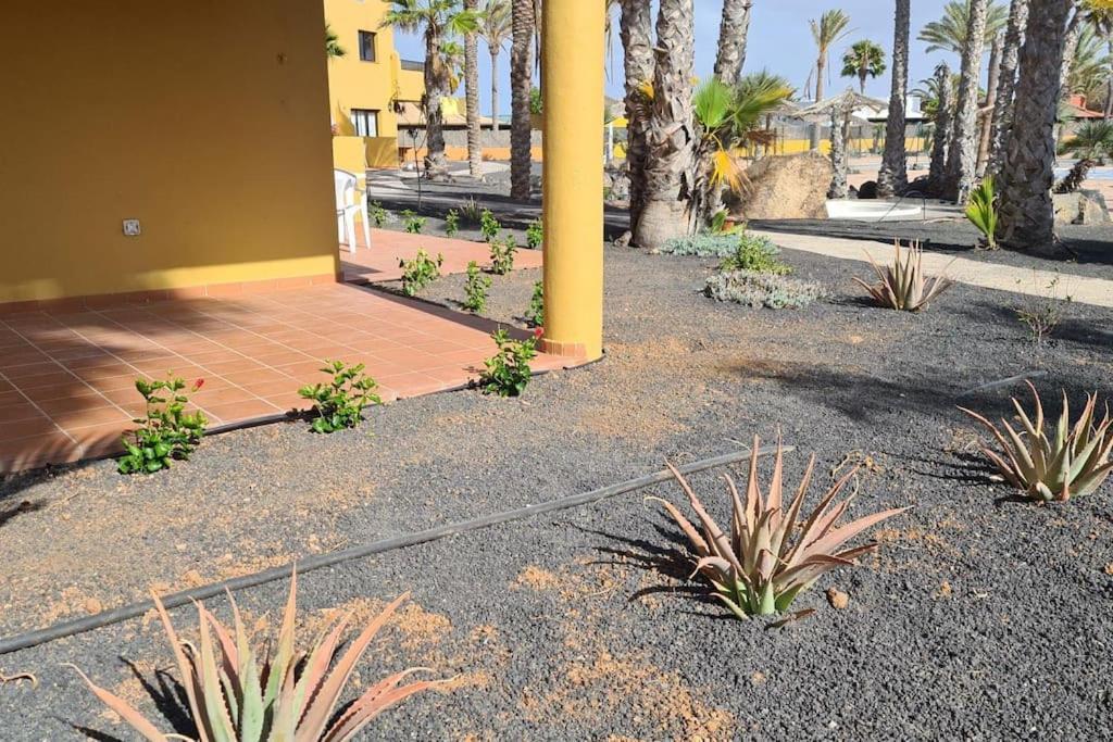 Beautiful Garden Flat Nearly Refurbished Free Wifi Apartment Corralejo Luaran gambar